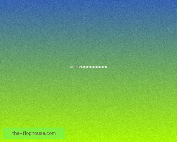 基于USB2.0传输速度的优化方案与实际应用分析